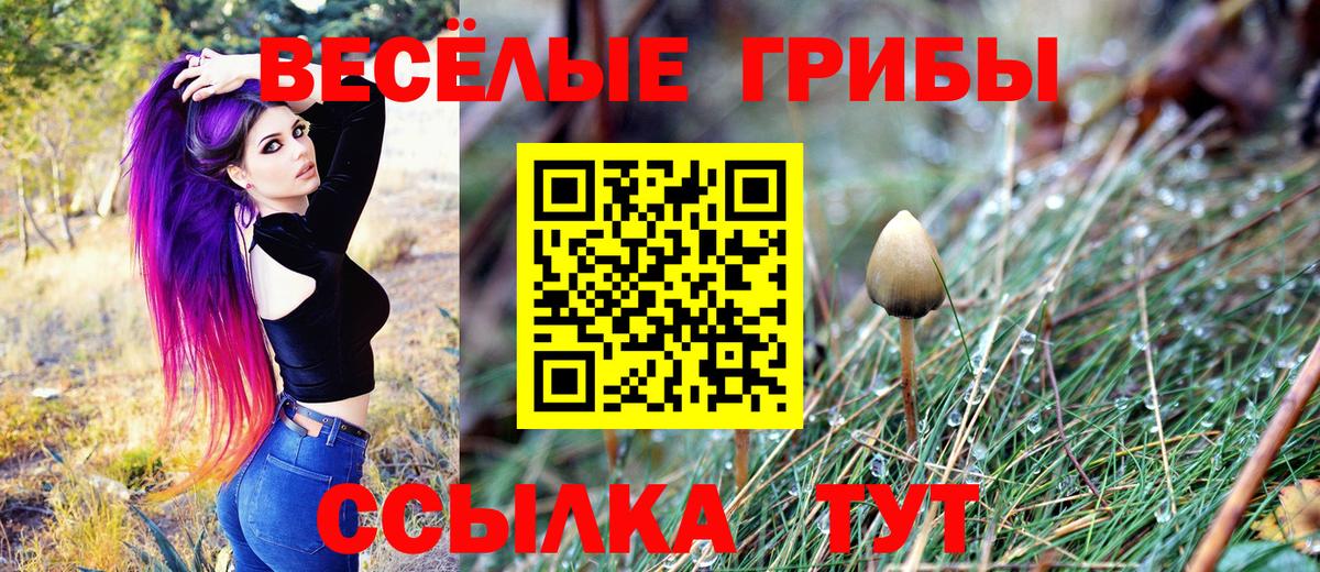 Дубна  Псилоцибиновые грибы мицелий  Вход с VPN  Псилоцибиновые грибы Cubensis 